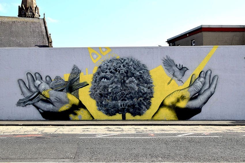 Garden of Reflection